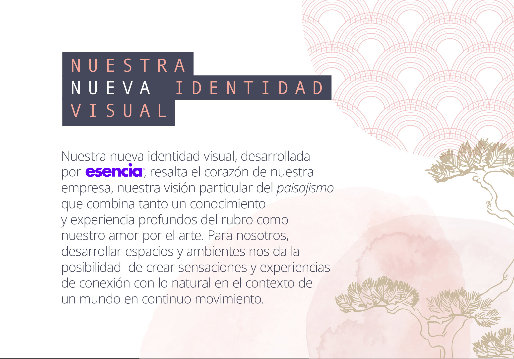 Ishigaki-Web_Mesa-de-trabajo-1-copia-12